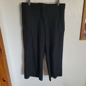 Ann Taylor Wide Leg Petite Trousers